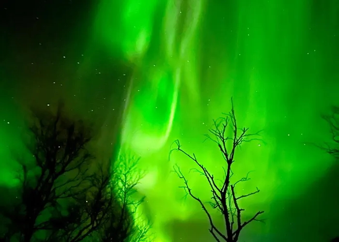 Деревянный коттедж Grasbakken